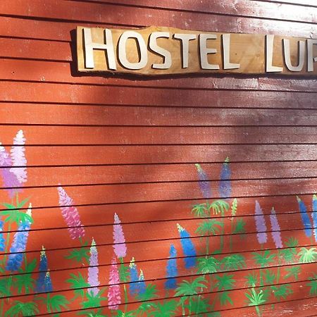Hostel And Vandrarhem Lupin Naturcamping Lagom Gräsmark 外观 照片