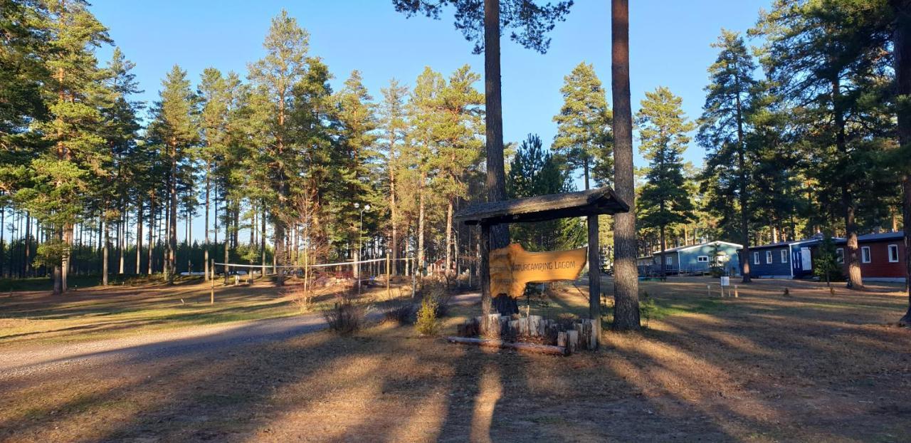 Hostel And Vandrarhem Lupin Naturcamping Lagom Gräsmark 外观 照片