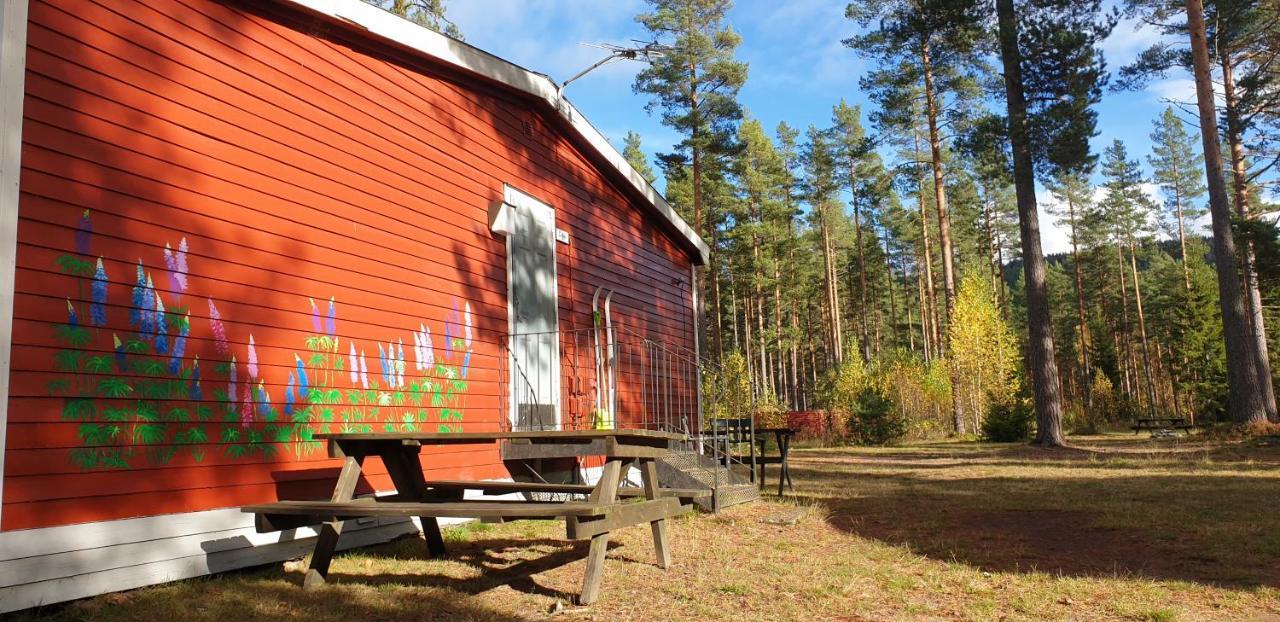 Hostel And Vandrarhem Lupin Naturcamping Lagom Gräsmark 外观 照片
